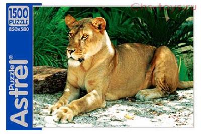 Пазлы Львица 1500эл от интернет-магазина Континент игрушек