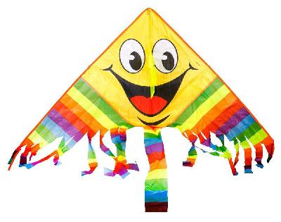 воздушный змей арт. 113-11 от интернет-магазина Континент игрушек