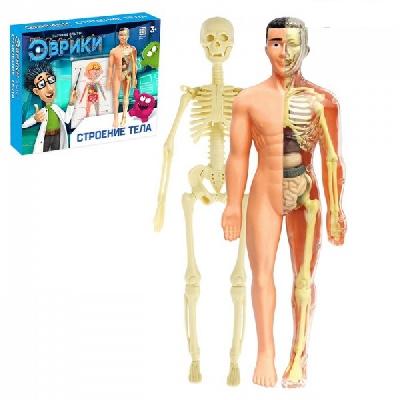 ЭВРИКИ Научный опыт "Строение тела" №SL-00702B   2772939 от интернет-магазина Континент игрушек