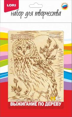 Выжигание Полярная сова от интернет-магазина Континент игрушек