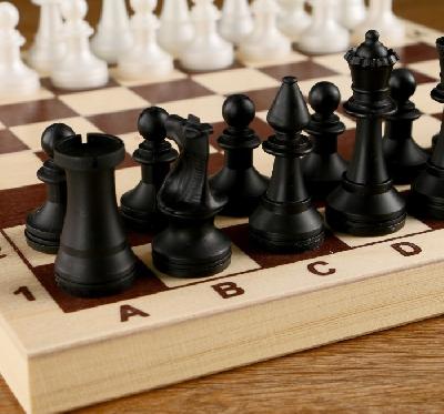 Шахматы (доска дерево 29х29 см, фигуры пластик) 1402872 от интернет-магазина Континент игрушек