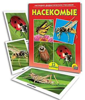РЫЖИЙ КОТ Дидактическое пособие "Мир вокруг нас", картон, 16,5х21,5см, 12 дизайнов от интернет-магазина Континент игрушек