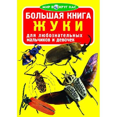 Книга Жуки от интернет-магазина Континент игрушек