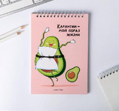 Скетчбук "Карантин - мой образ жизни"  А5, 40 листов от интернет-магазина Континент игрушек