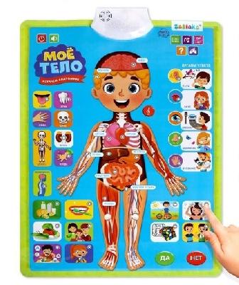 Zabiaka Обучающий плакат "Тело человека"   5148294 от интернет-магазина Континент игрушек