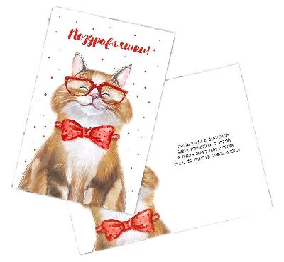 Открытка "Поздравляю!" добрый кот, 12 х 18 см    2896104 от интернет-магазина Континент игрушек