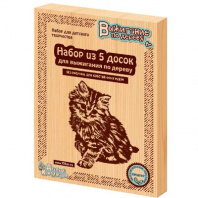 Доски для выжигания 5 штук, без рисунка  для собственных идей от интернет-магазина Континент игрушек