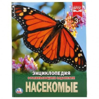 Энциклопедия "Умка". Насекомые от интернет-магазина Континент игрушек