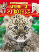 Книга. Энциклопедия детская. Детеныши животных от интернет-магазина Континент игрушек