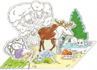 Раскраска 3D. В лесу от интернет-магазина Континент игрушек