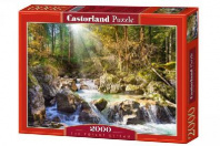 Пазл Castorland Пейзаж 2000 Лесной ручей от интернет-магазина Континент игрушек